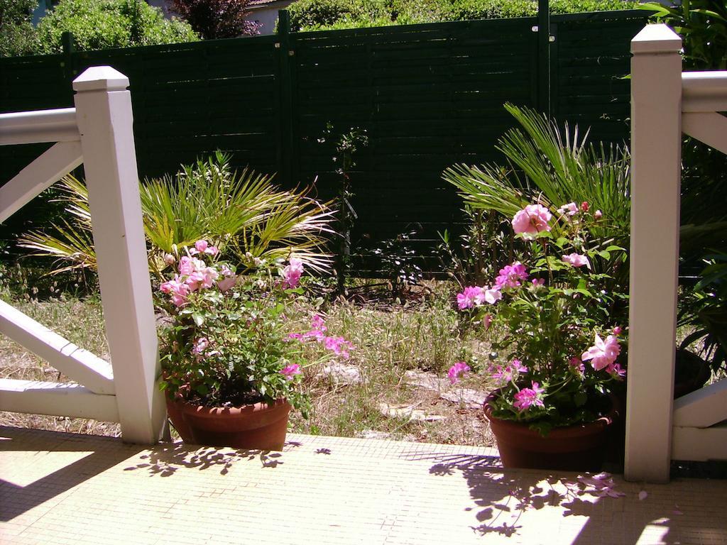 Villa Surprise Arcachon Room photo